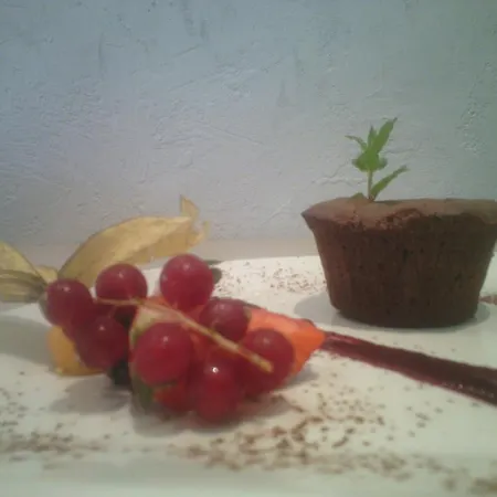 Logis Hotel - Restaurant Residence Les Cedres