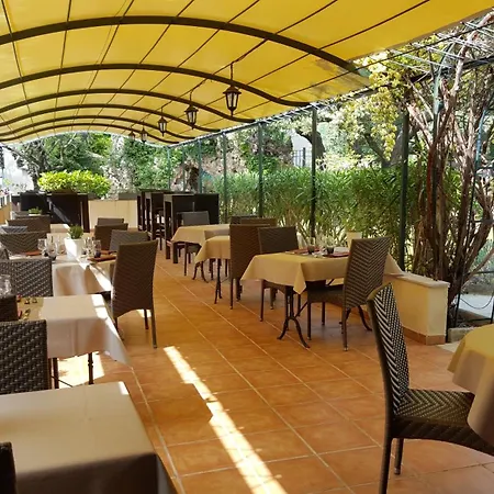 Logis Hotel - Restaurant Residence Les Cedres Hotel 3*