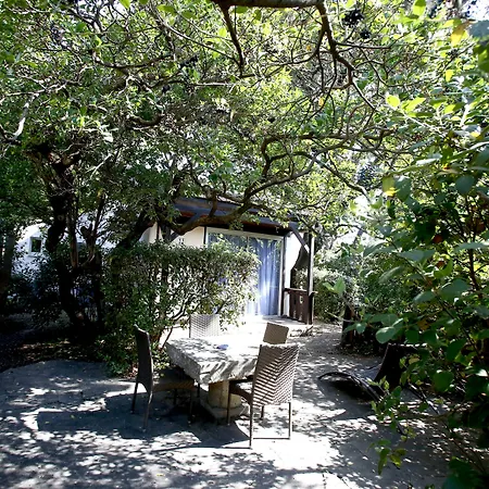 Logis - Restaurant Les Cedres Вильнёв-ле-Авиньон