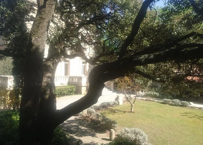 Logis - Restaurant Les Cedres 3*